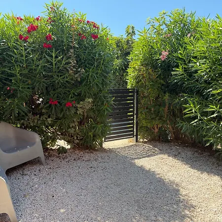 Jolie Maison Ile Des Pecheurs Dans Avec Piscine بيت للعطل Le Barcarès